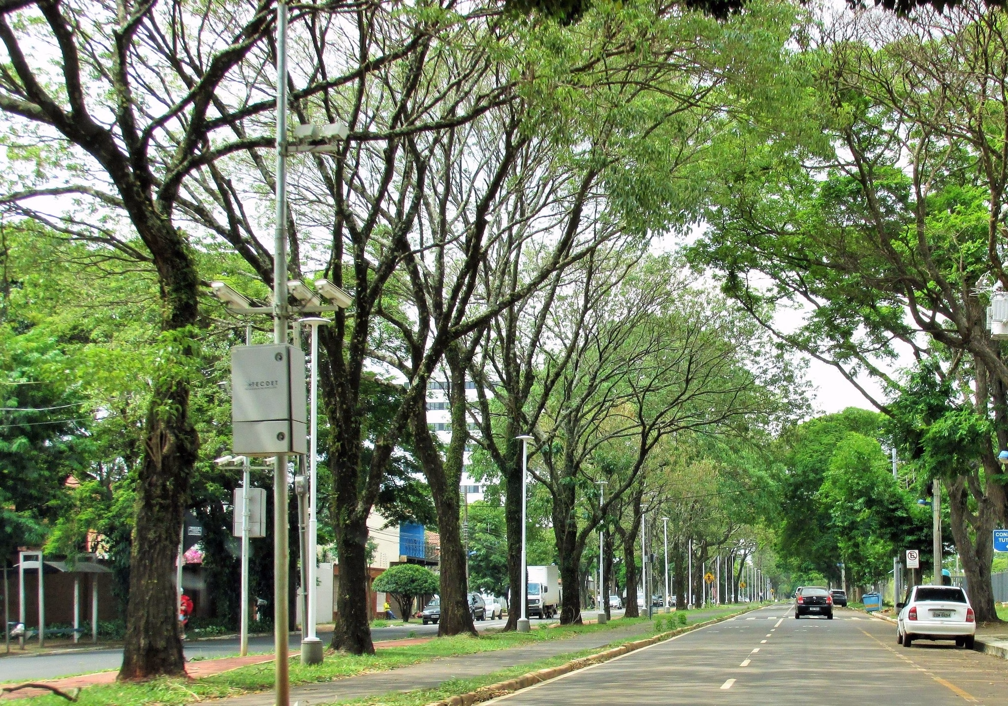 Tempo segue estável em Maringá nesta quinta (23); máxima atinge 32° C