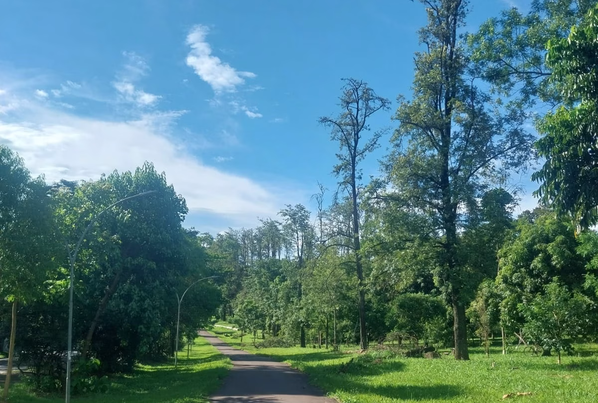 Confira a previsão do tempo para este domingo (12) em Maringá