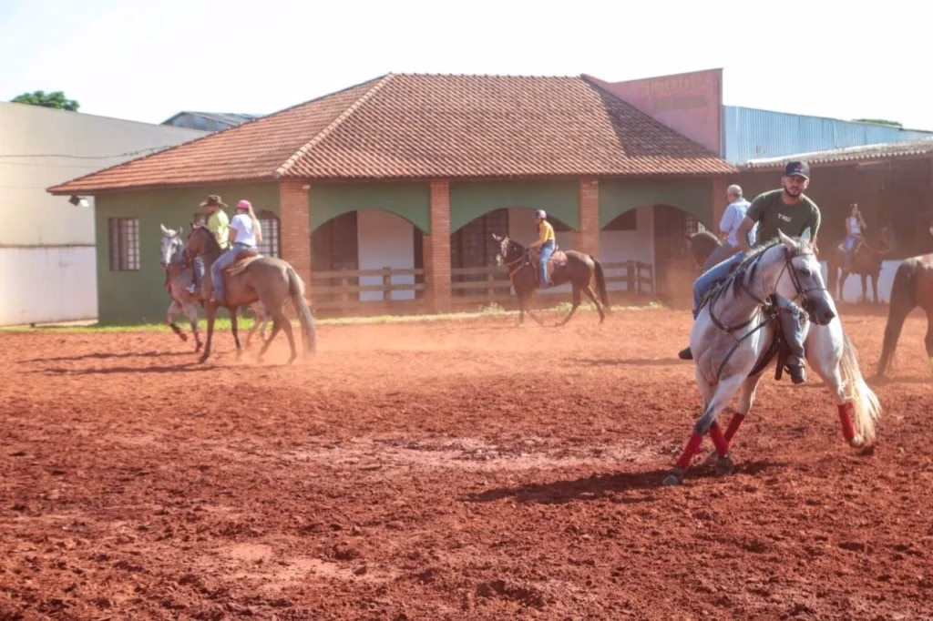 Maringá avança na inclusão com centro de equoterapia gratuito no Parque de Exposições
