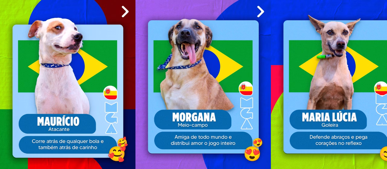 Em clima de Copa do Mundo, Secretaria de Bem-Estar Animal lança figurinhas de cães para adoção