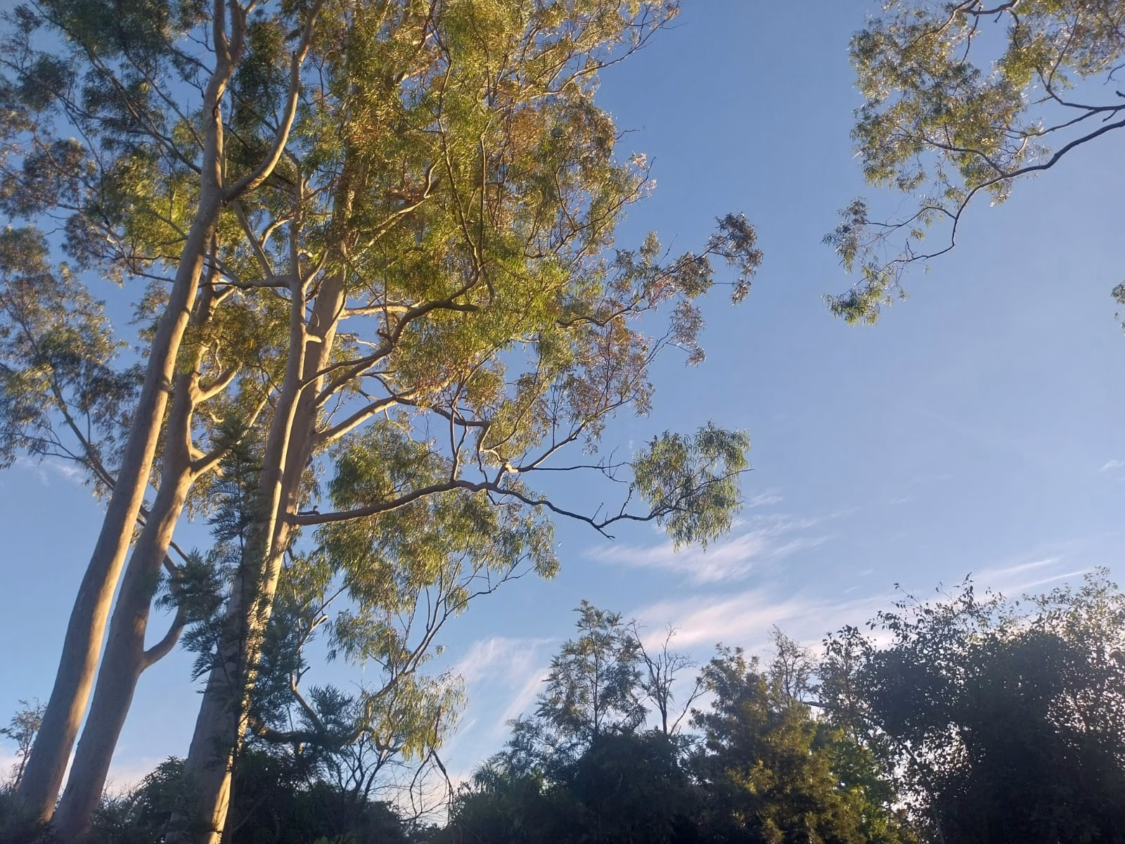 Confira a previsão do tempo para este domingo (3) em Maringá