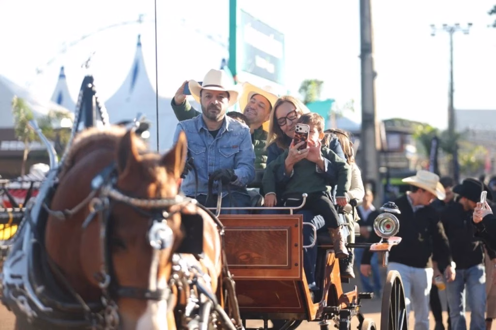 Passeio com cavalo da raça Bretão chama atenção do público na Expoingá