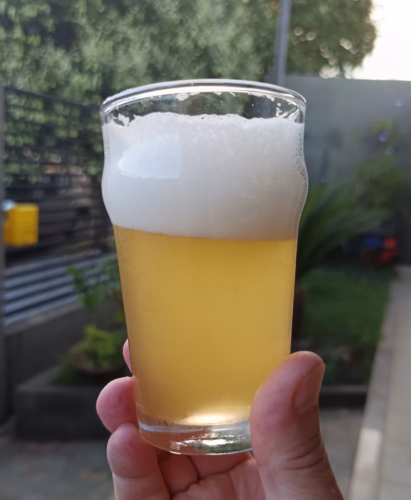 Evento gratuito em Maringá mostra na prática como fazer cerveja artesanal