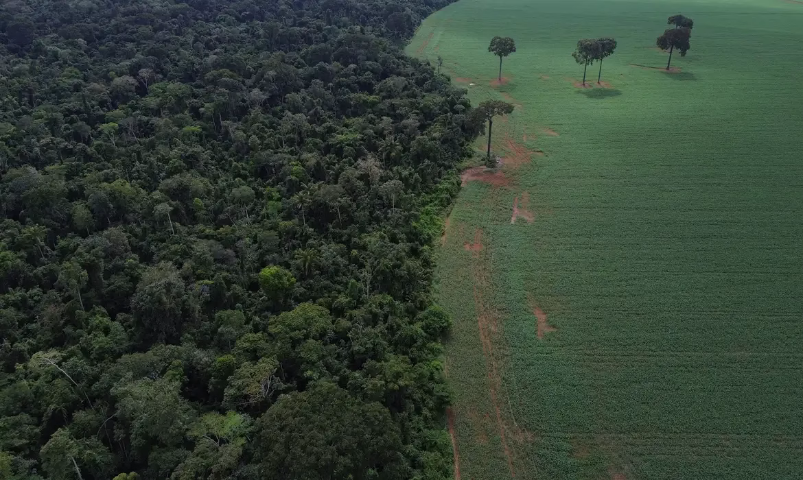 Queda no desmatamento reforça papel climático do Brasil