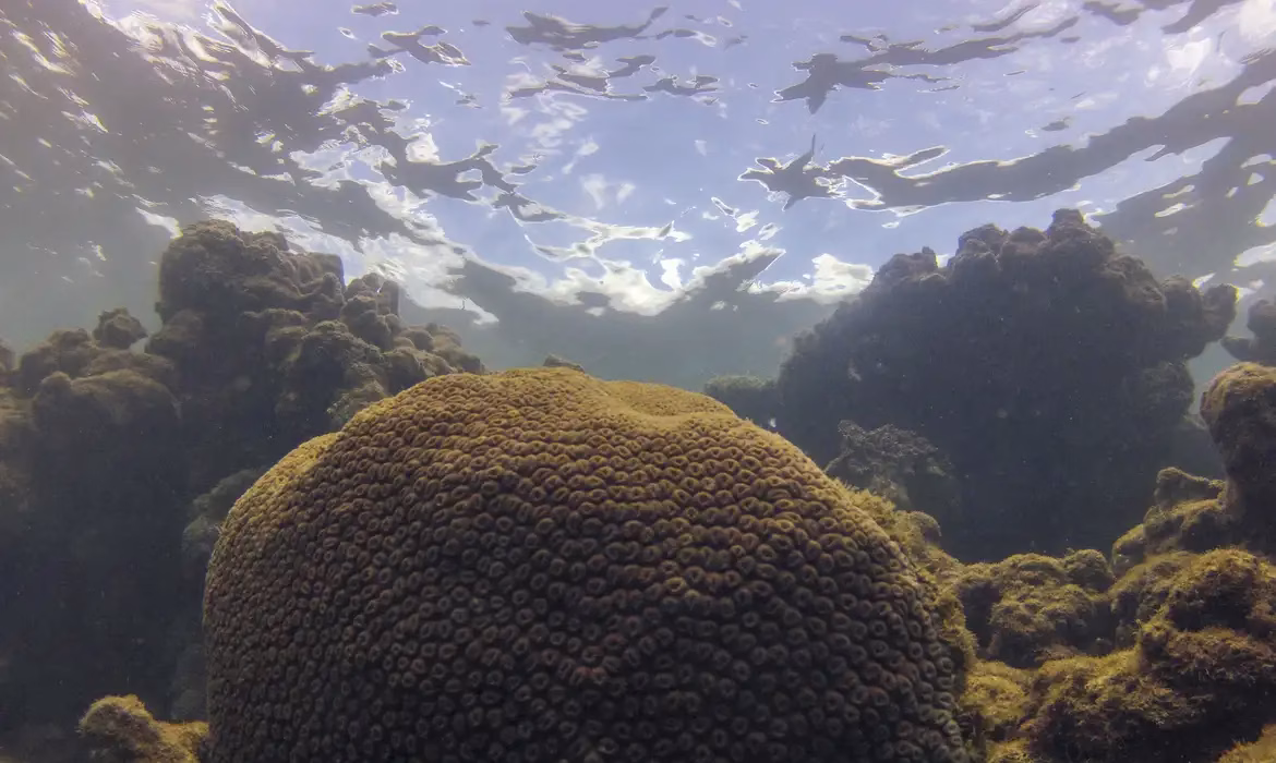 Aquecimento dos mares pode agravar eventos climáticos extremos