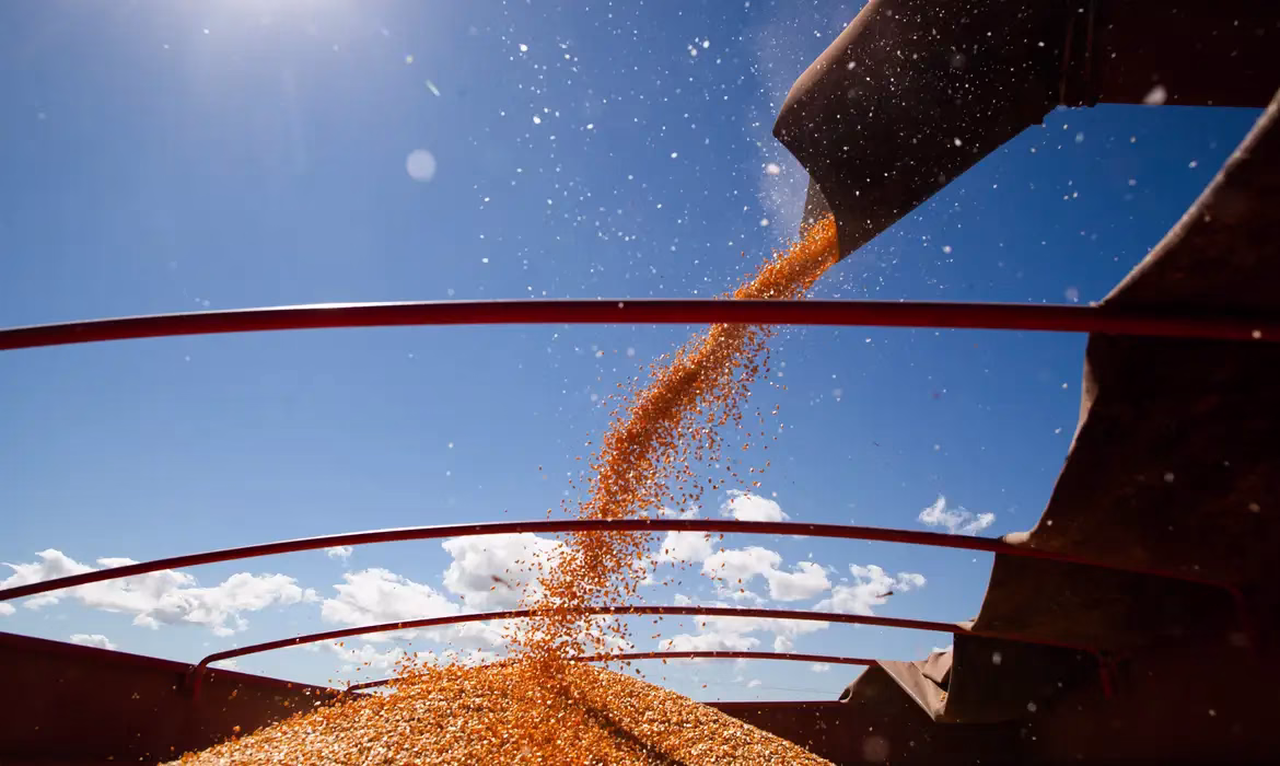 Produção de grãos deve alcançar novo recorde no Brasil