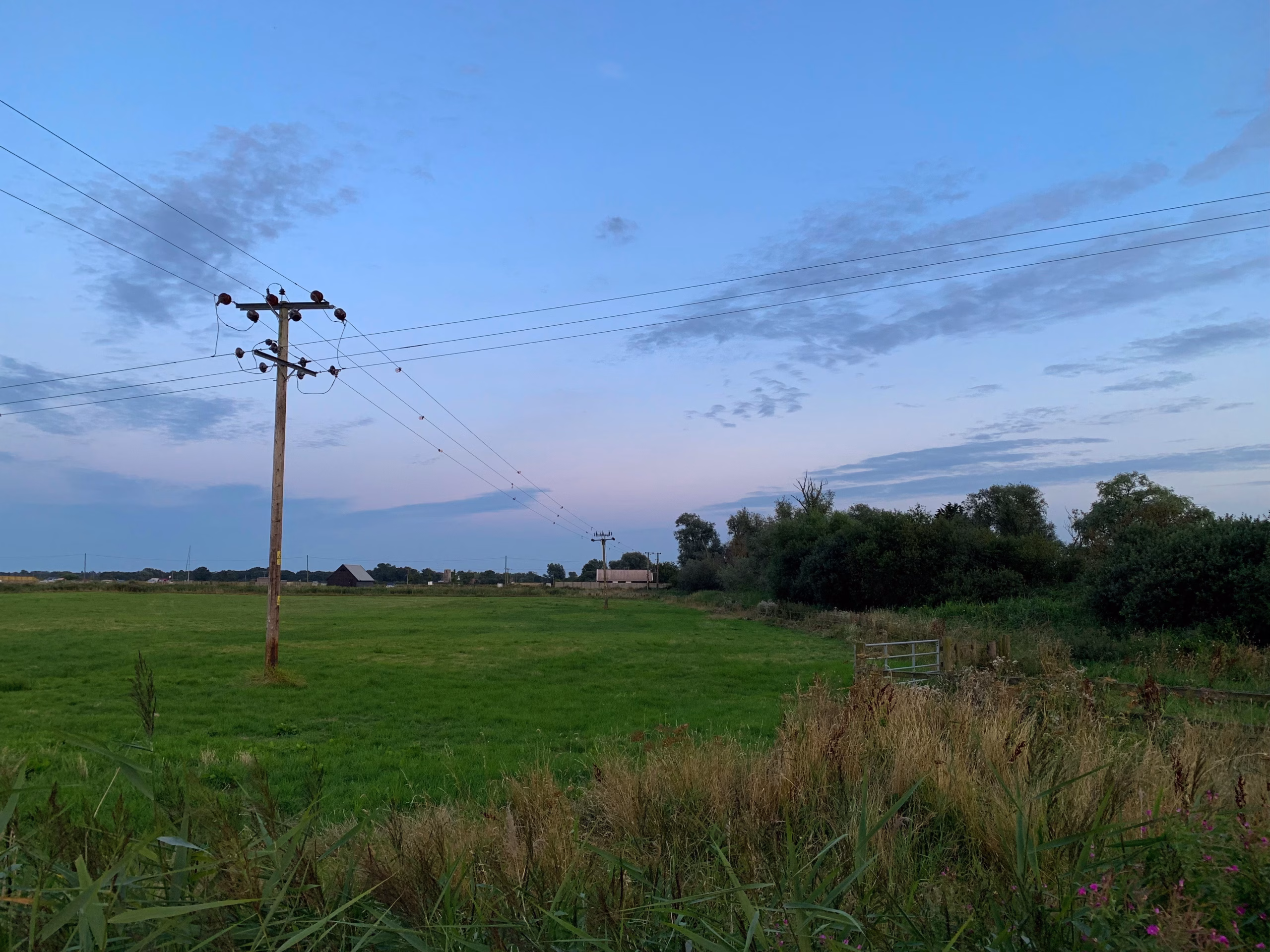 Alto percentual de reajuste da energia elétrica assusta o setor rural