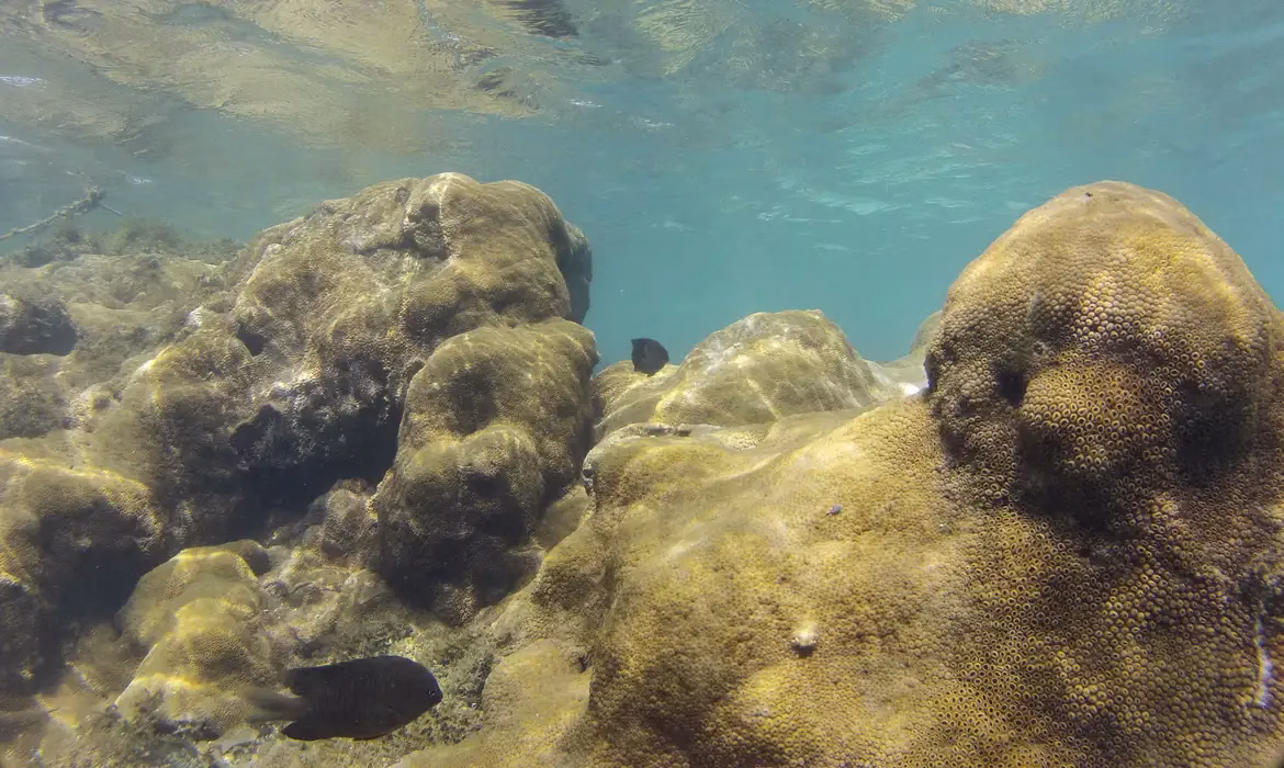 Sistema invisível dos oceanos pode afetar o clima mundial
