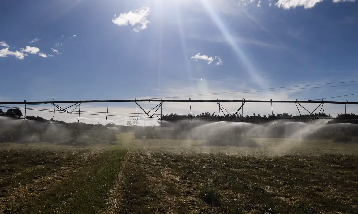 Queda das commodities e alta dos insumos pressionam rentabilidade no campo