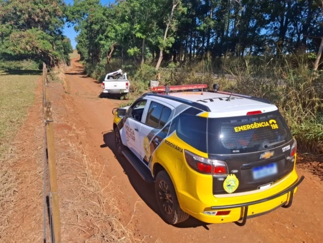 Criança de 4 anos morre após caminhonete sair da pista e bater contra árvore na PR-317