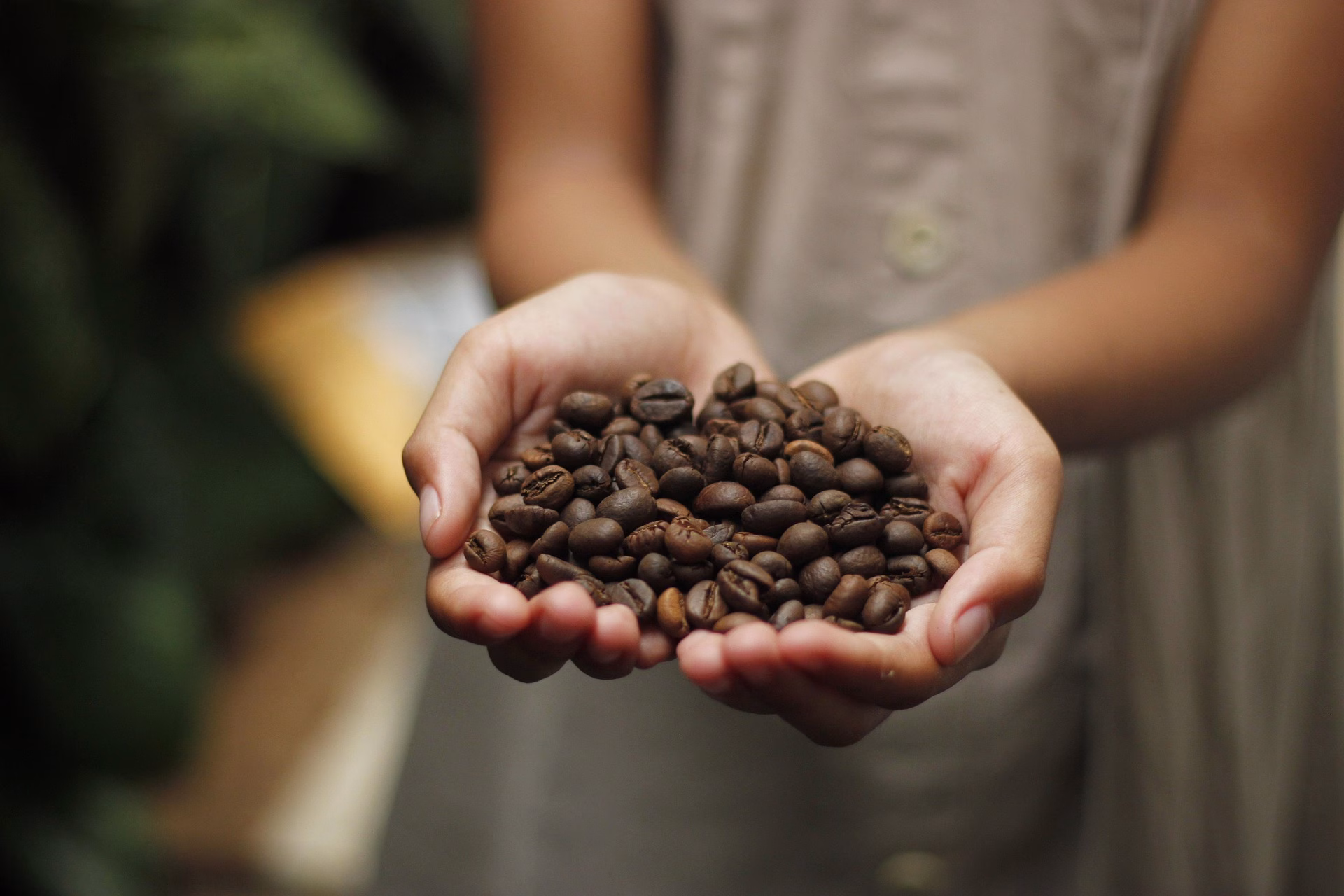 Ca Fé On vai reunir toda a cadeia do café em Maringá