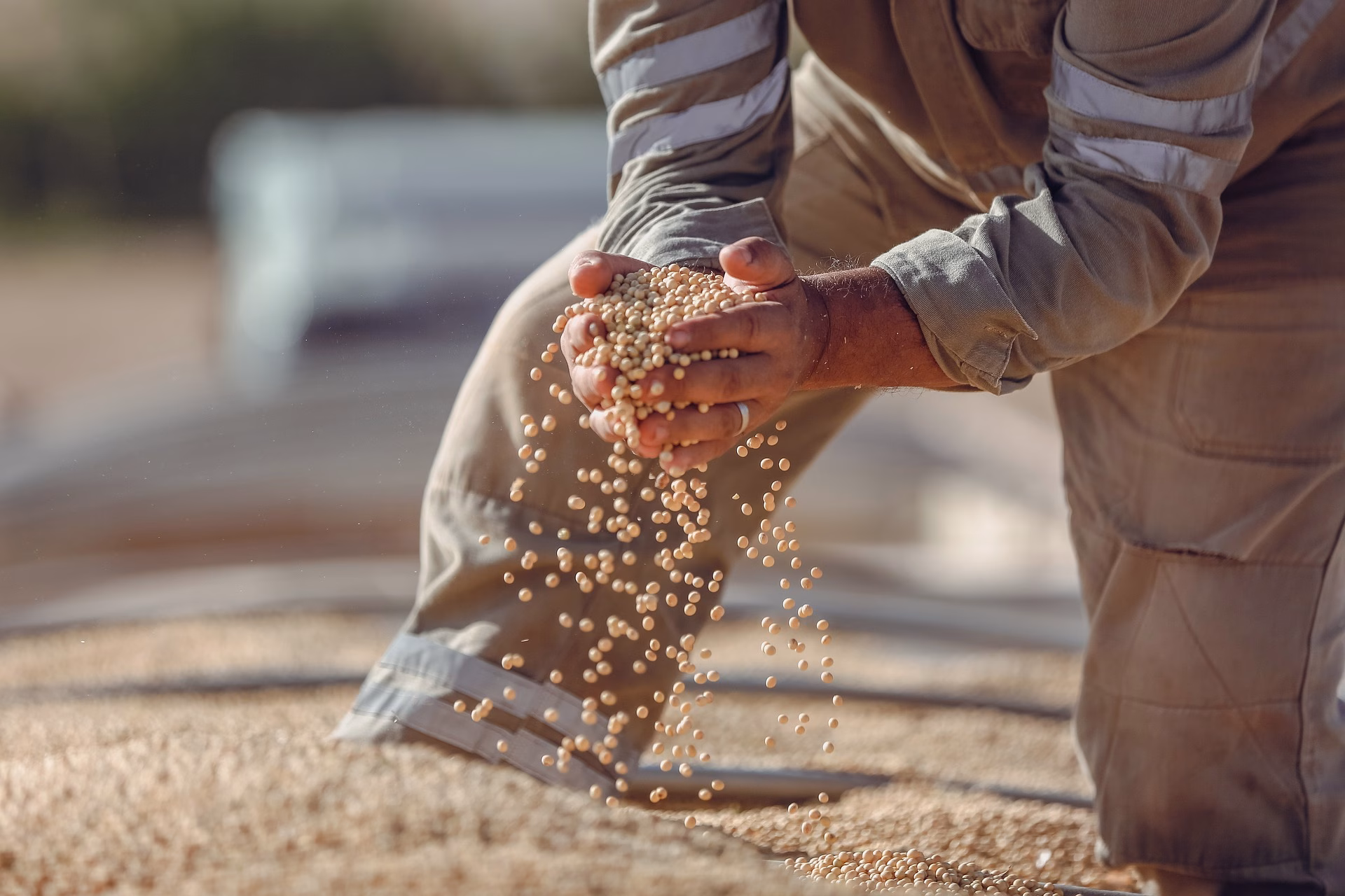 Produtor de soja de Maringá conquista prêmios de produtividade