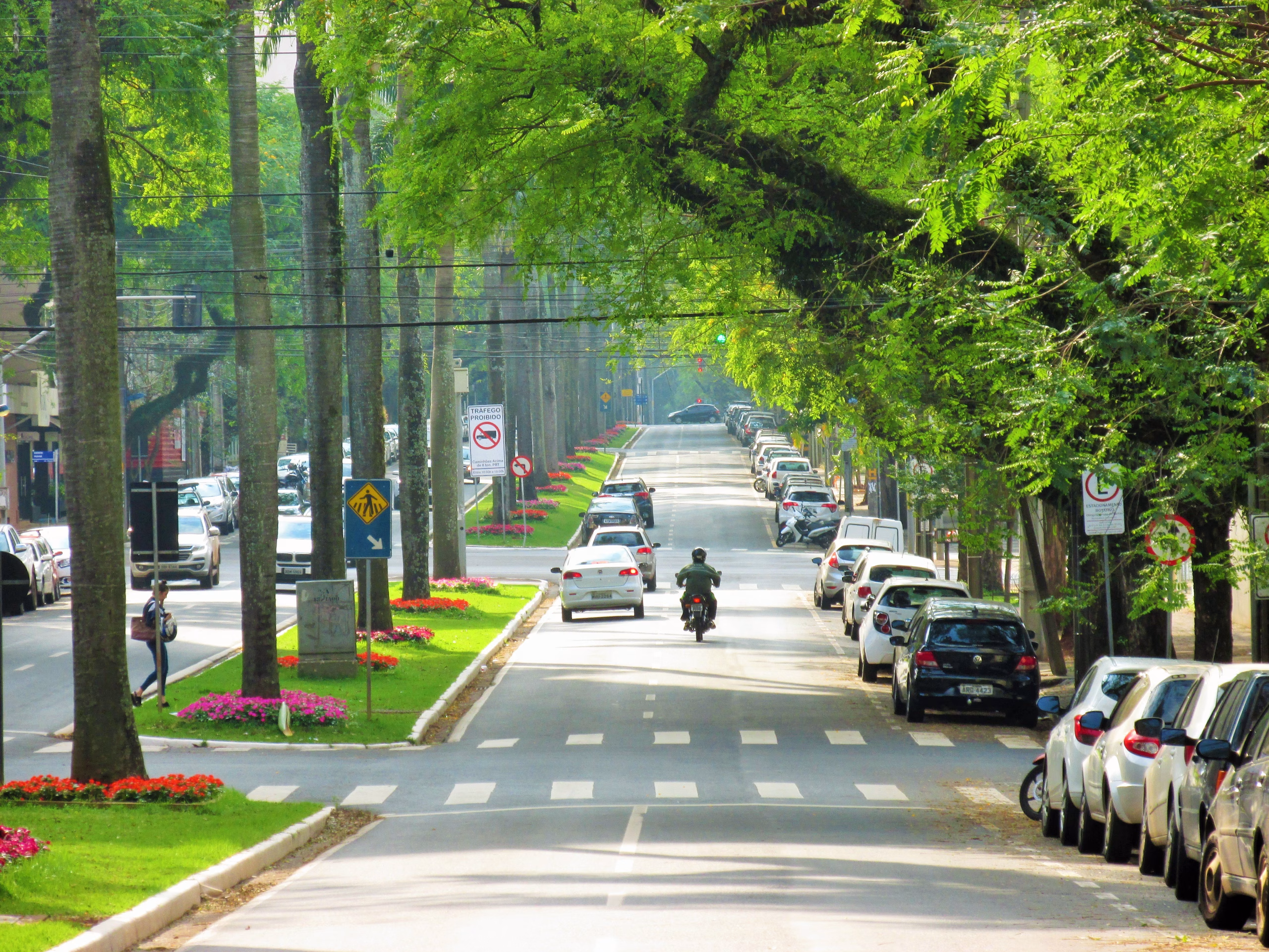 53% das mortes de motociclistas ocorreram em colisão lateral por desrespeito à preferencial