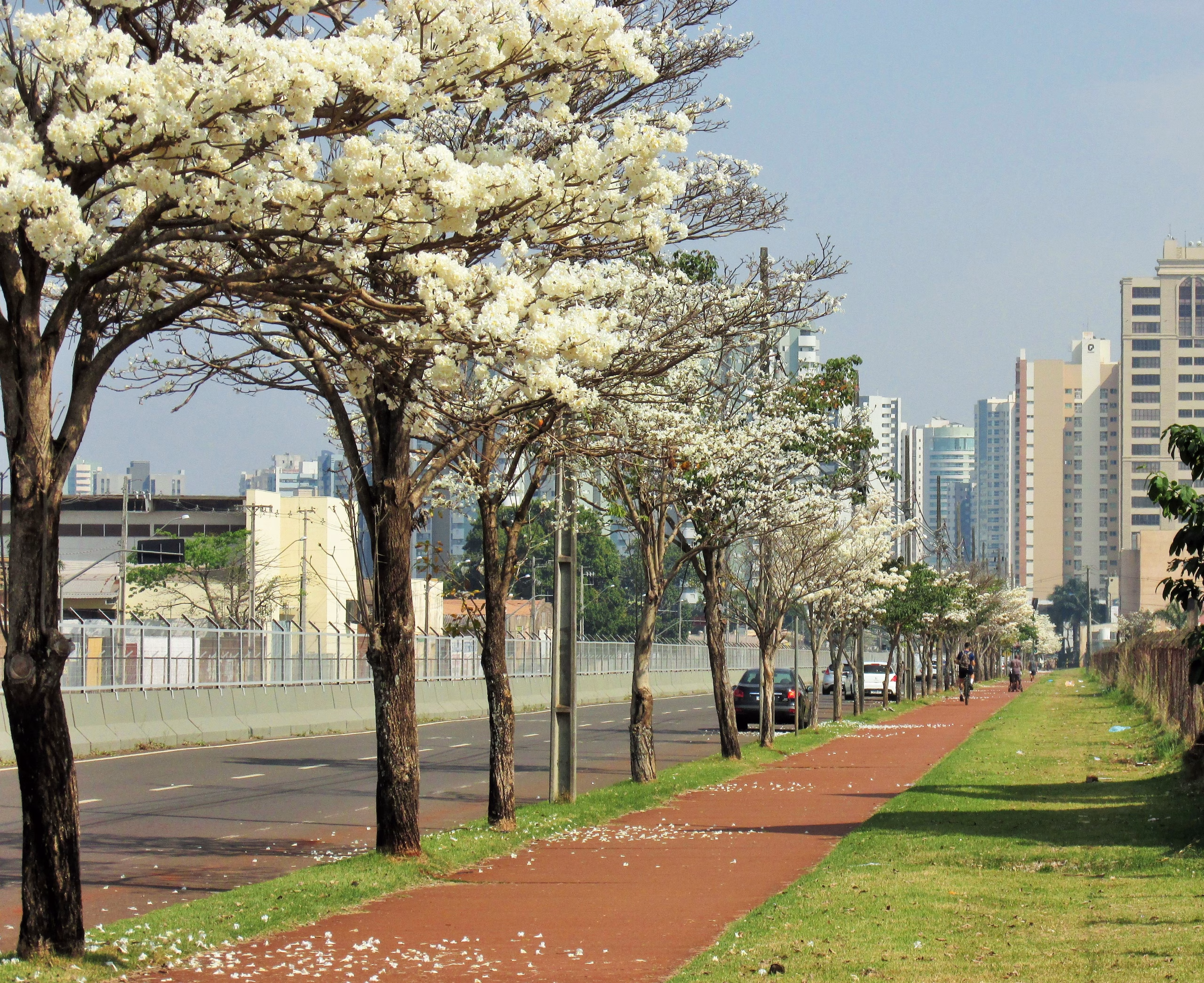 Saiba como fica o tempo em Maringá e no Paraná nesta quinta-feira (13)