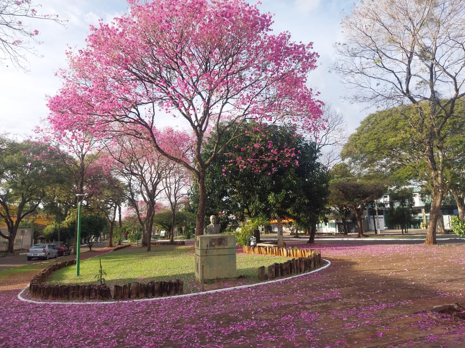 Confira a previsão do tempo para este domingo (2)