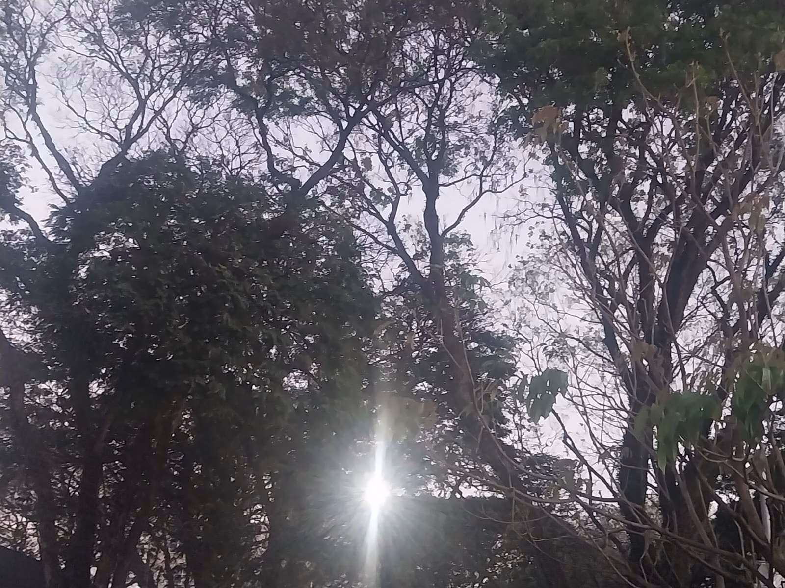 Confira a previsão do tempo para este domingo (16)