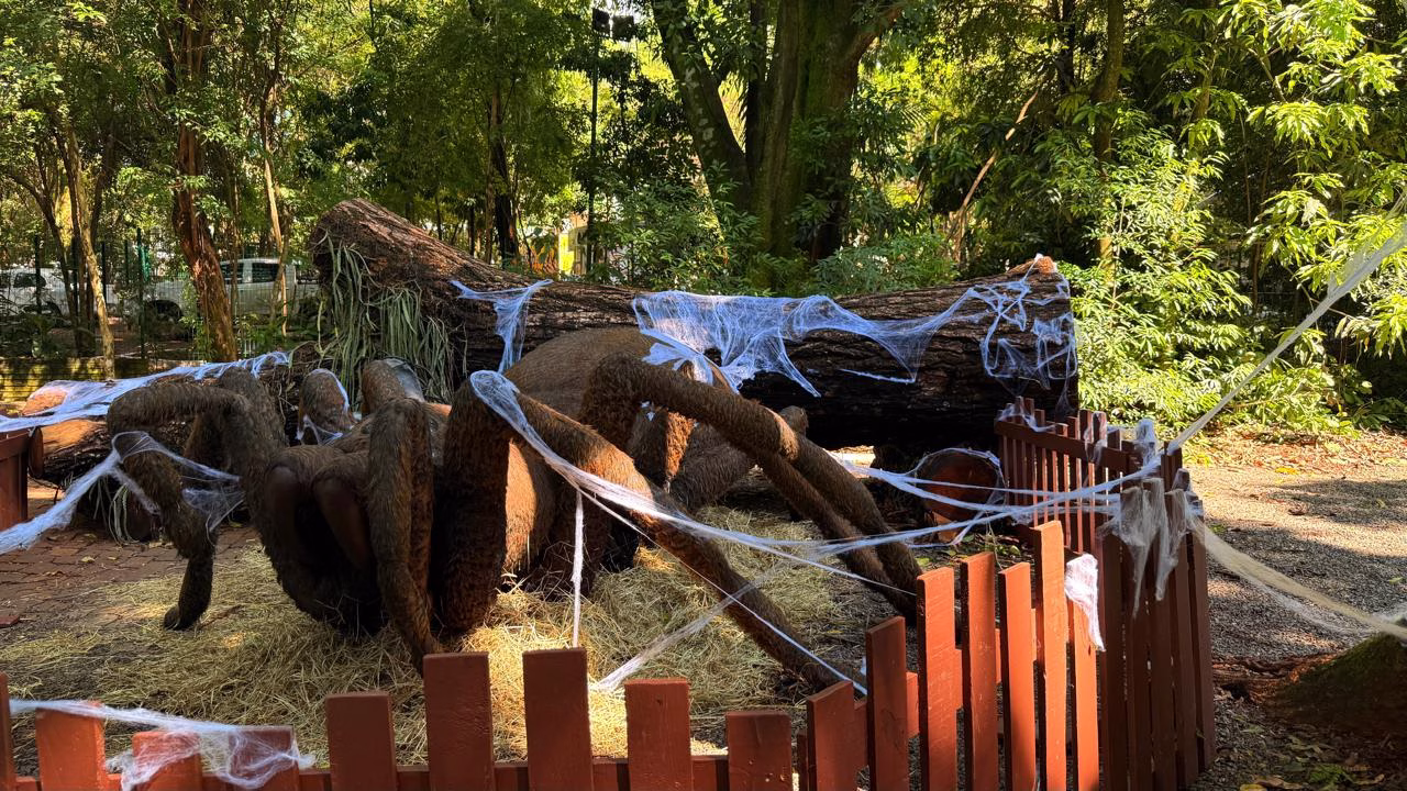 Primavera Encantada leva insetos gigantes e educação ambiental ao Parque do Ingá