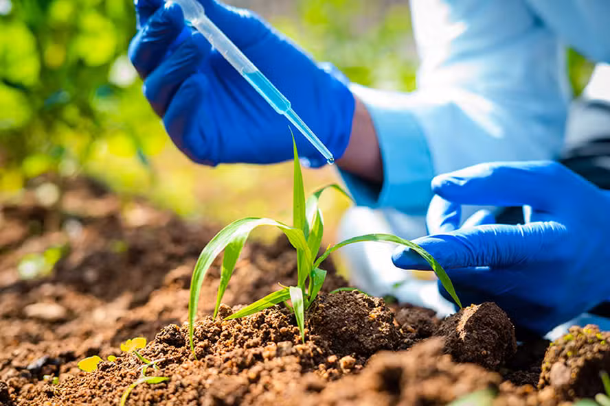 Áreas tratadas com bioinsumos crescem no Brasil