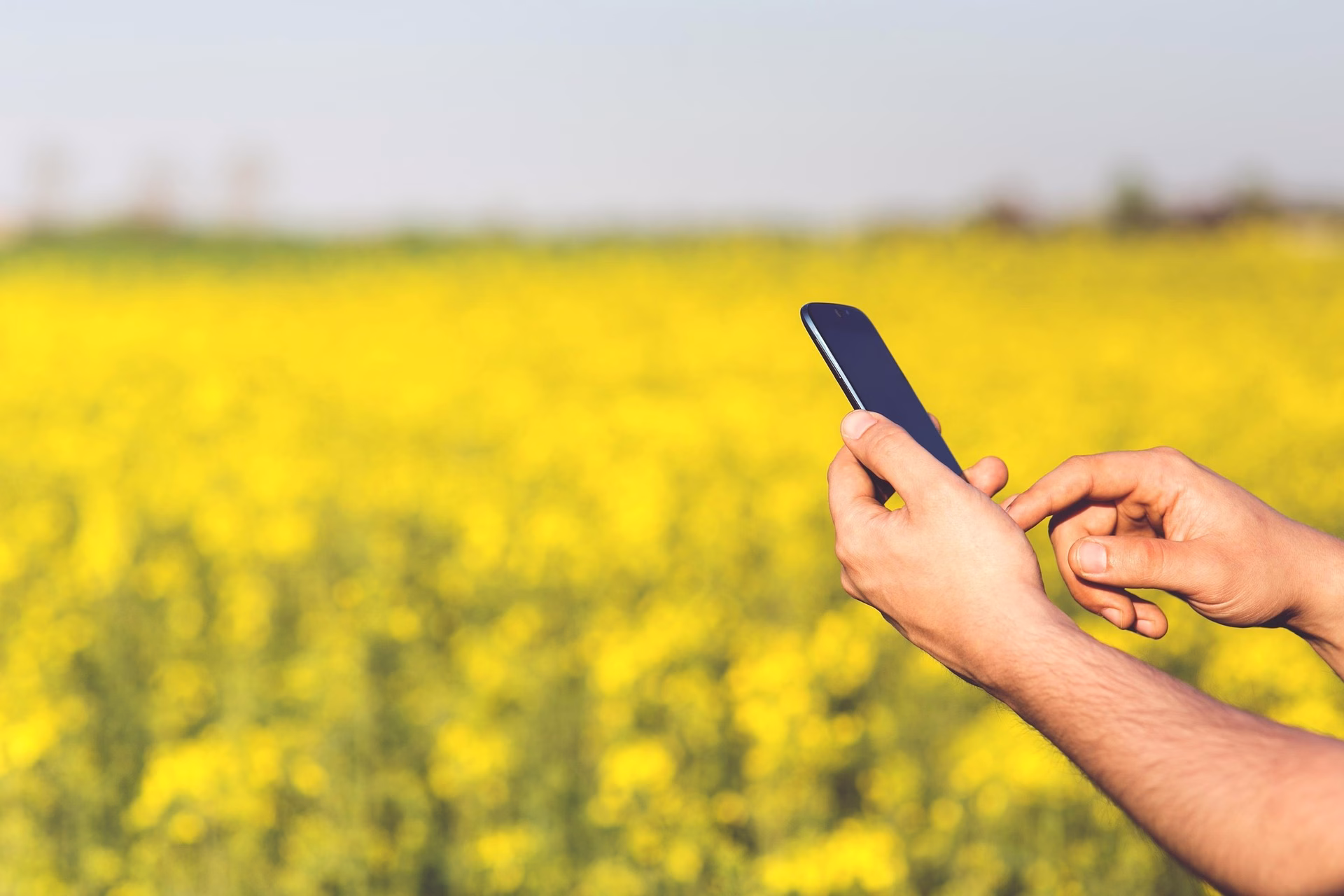 Inteligência artificial avança mas ainda é pouco utilizada no campo