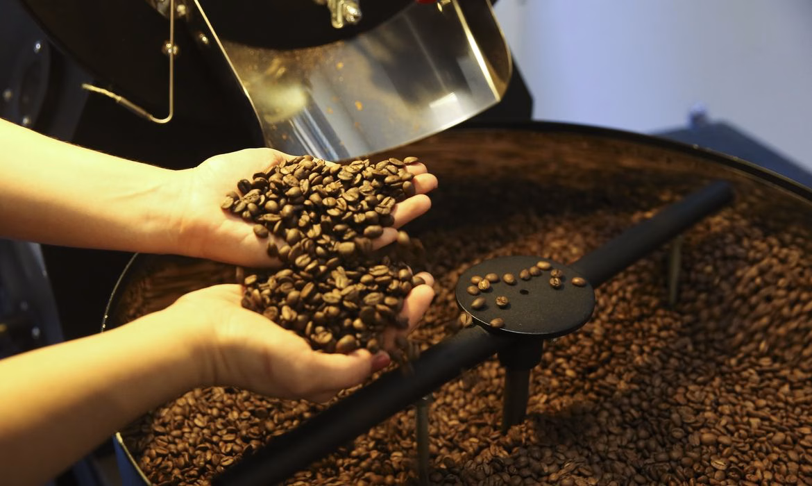 Cotação do café sobe para R$ R$ 1.446 por saca em Maringá