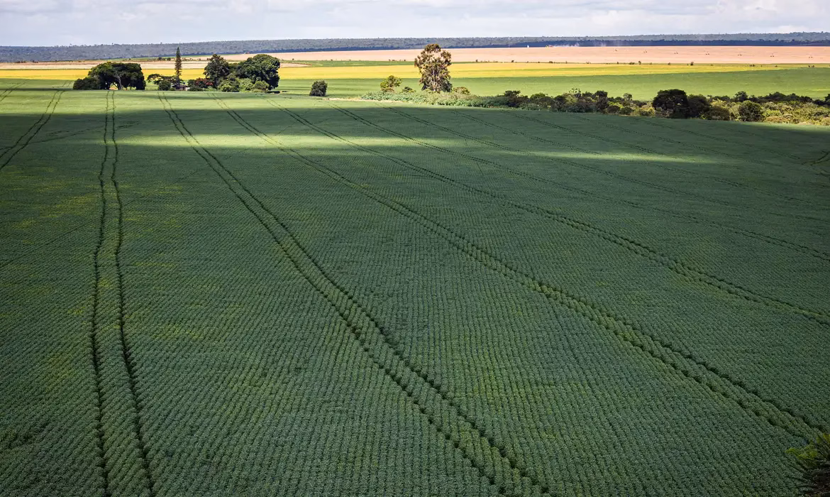 Projeto de lei moderniza o Seguro Rural no Brasil
