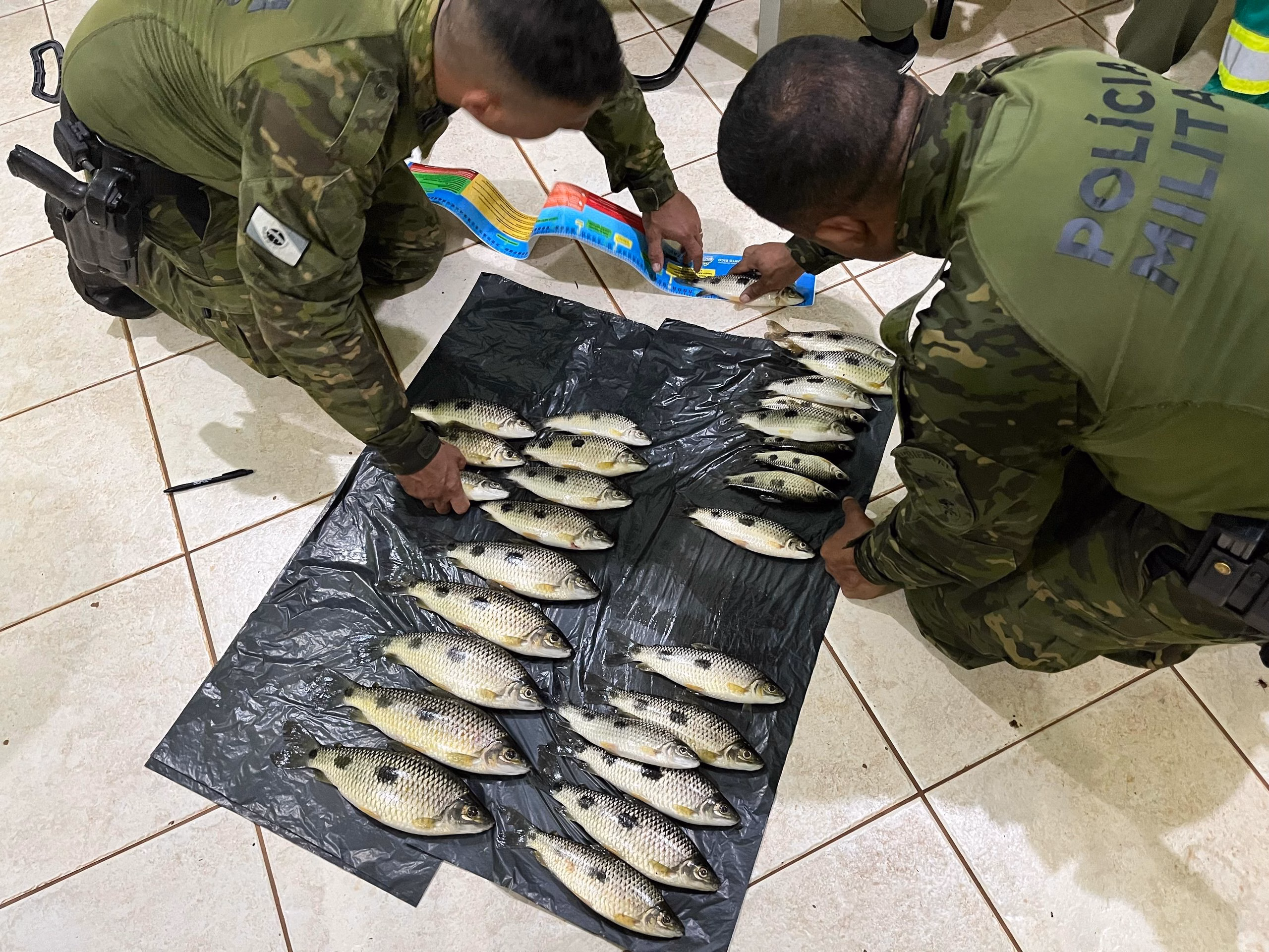 Pescadores são presos com peixes abaixo do tamanho permitido no Rio Paraná