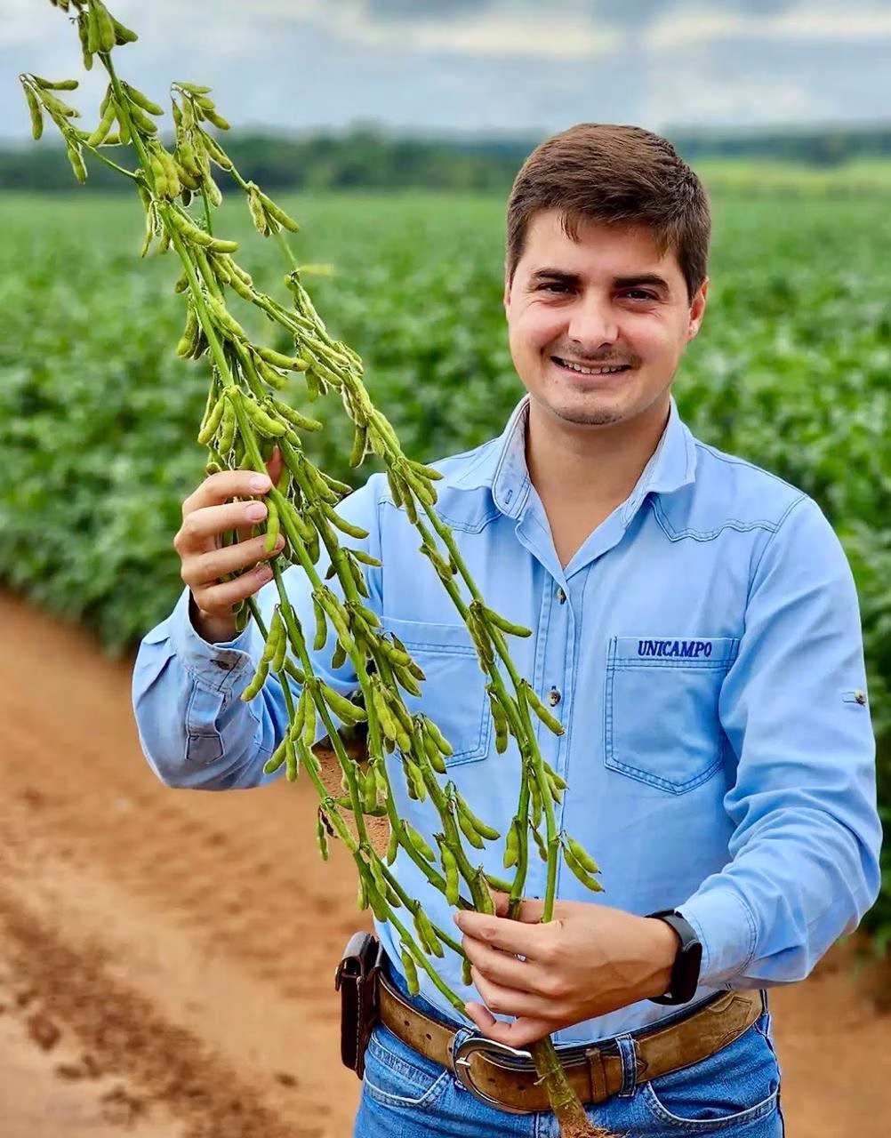 Profissionais de agronomia crescem com a Unicampo