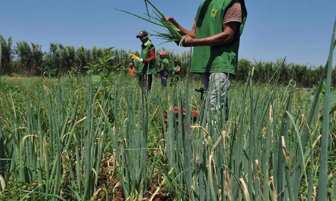 Agricultura dos EUA trabalha com inovações que em breve devem chegar ao Brasil