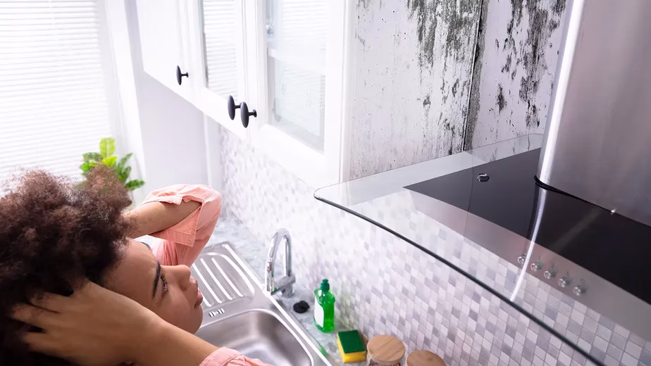 Umidade em casa: sinais que merecem atenção depois de dias de chuva