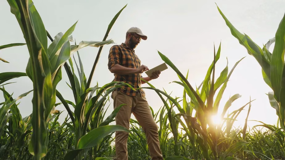 Ao lado do produtor, engenheiro agrônomo faz do Brasil um grande produtor de alimentos