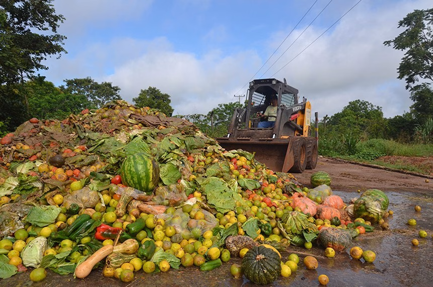 Estudo aponta que quase 15% dos alimentos do mundo são desperdiçados