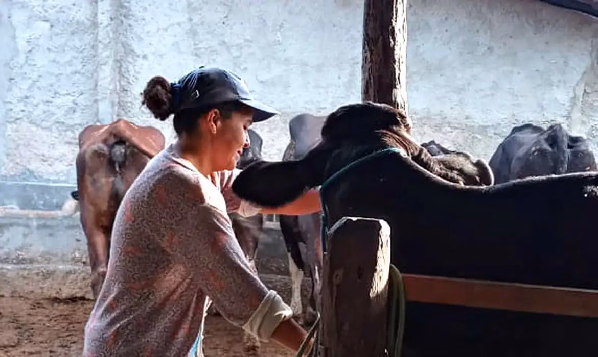 Segundo estudo da Abag, mulheres ampliam participação no agronegócio